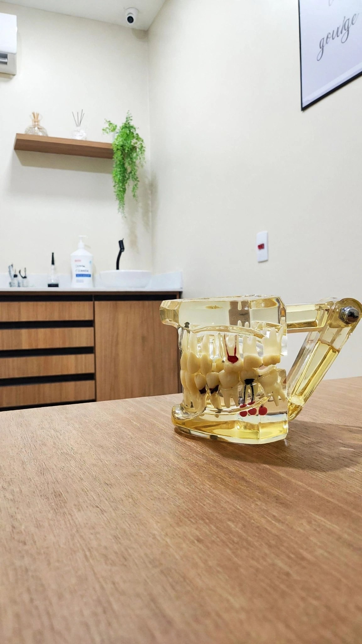 Modelo dental